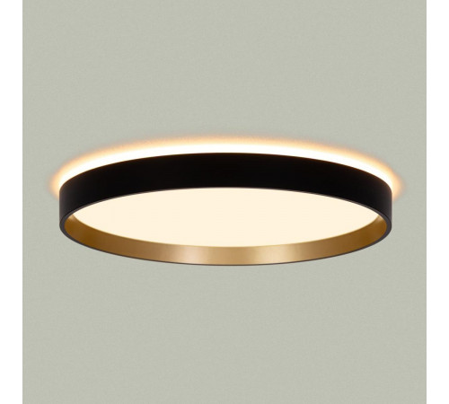 Потолочный светильник Citilux Etalon CL750321R