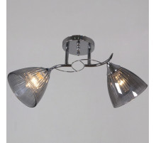 Потолочный светильник Reluce 12560-0.3-02 CR