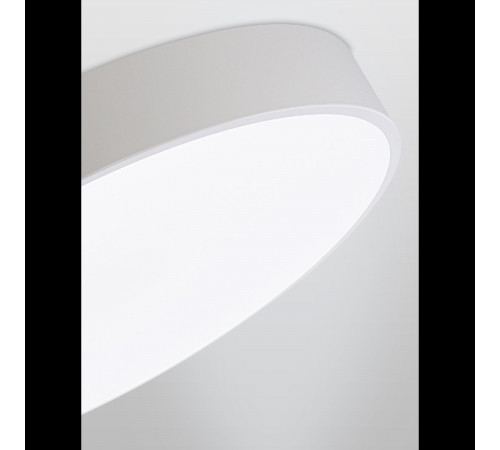 Потолочный светильник Natali Kovaltseva Modern LED LAMPS 81105/2C Потолочный светильник Natali Kovaltseva Modern LED LAMPS 81105/2C