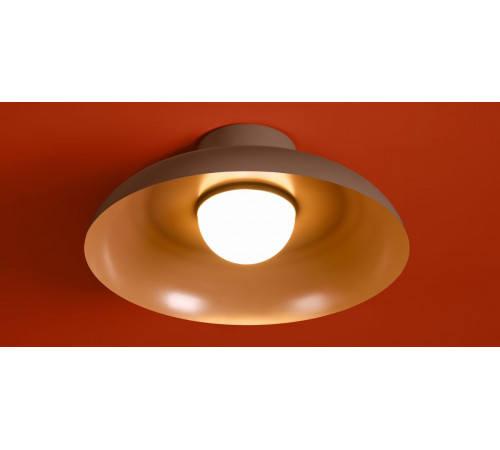 Потолочный светильник Freya Movement FR5602CL-L10BR