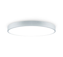 Потолочный светильник Freya Sprida FR6129CL-L80GR