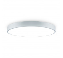 Потолочный светильник Freya Sprida FR6129CL-L80GR