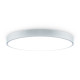 Потолочный светильник Freya Sprida FR6129CL-L80GR
