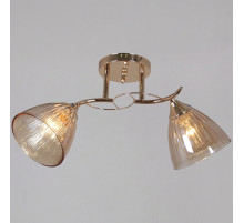 Потолочный светильник Reluce 02560-0.3-02 FG