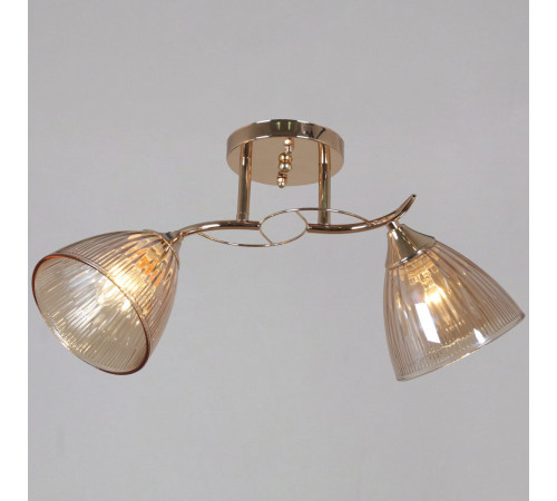 Потолочный светильник Reluce 02560-0.3-02 FG