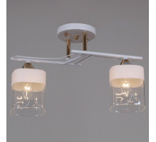 Потолочный светильник Reluce 06096-0.3-02 WH+FG