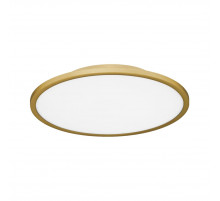 Потолочный светильник Evoluce Тассен SLE1811-202-01