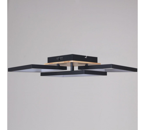Потолочный светильник Reluce 49560-0.3-03 BK+WOOD