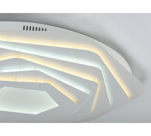 Потолочный светодиодный светильник F-Promo Ledolution 2289-8C