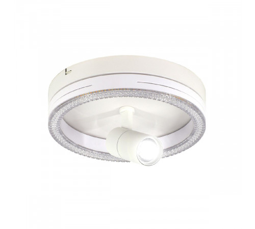 Потолочный светильник Escada 20044SMA/02LED WH