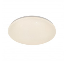 Потолочный светильник Escada Galatea 10216/SG LED APP