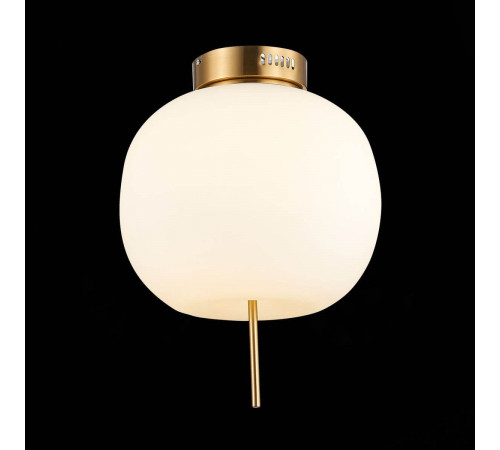 Потолочный светодиодный светильник ST Luce Lacus SL1621.202.01