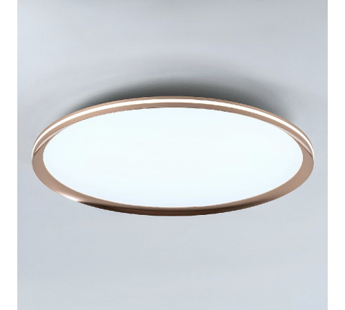 Потолочный светильник LED4U L3020-600 GD
