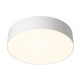 Потолочный светильник Citilux Bart CL755290