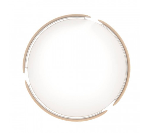 Настенно-потолочный Eglo Valcasotto 901827