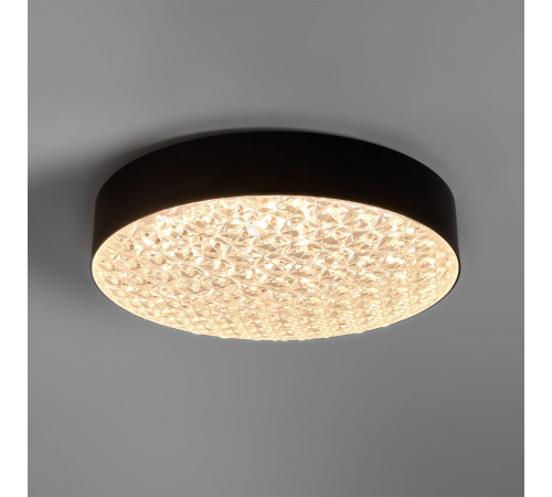 Потолочный светильник Freya Crispia FR6218CL-L90B