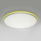 Потолочный светильник Citilux Norma LED RGB CL749600