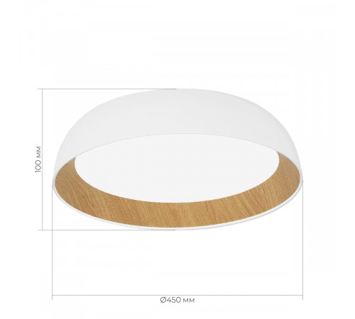 Потолочный светильник Evoluce Muse SLE1812-502-01