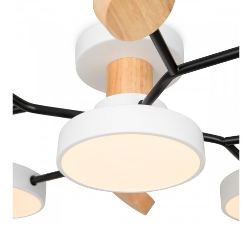 Потолочный светильник Freya Crown FR6119CL-L60W