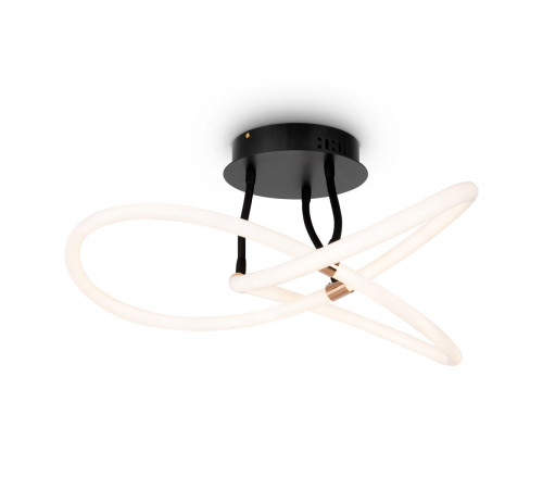 Потолочный светильник Freya Fancy FR6059CL-L35B