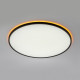 Потолочный светильник Citilux Norma CL749601