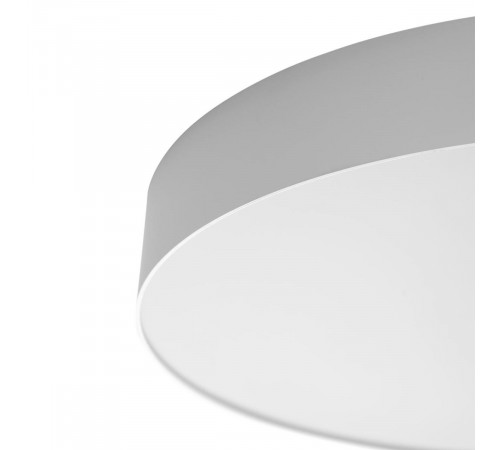 Потолочный светильник Citilux Bart CL755490