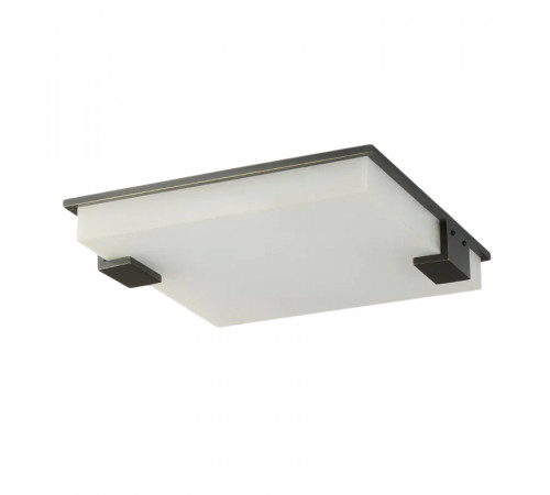 Потолочный светильник Delight Collection 8212C/500 black/white