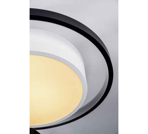 Потолочный светодиодный светильник Escada 10243/6LED Потолочный светодиодный светильник Escada 10243/6LED