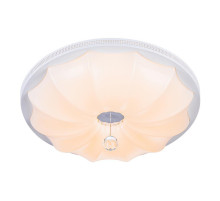 Потолочный светодиодный светильник Escada 10231/S LED