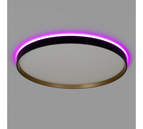 Потолочный светильник Citilux Etalon CL750501R