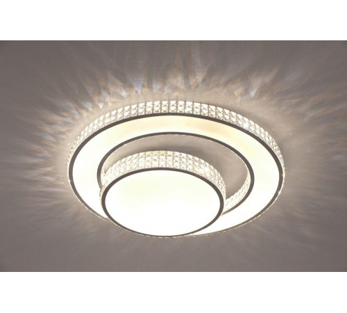 Потолочный светодиодный светильник Escada 10205/2LED Потолочный светодиодный светильник Escada 10205/2LED