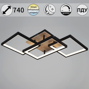 Потолочный светильник Reluce 49560-0.3-03 BK+WOOD