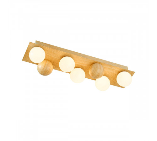 Потолочный светильник F-Promo Swarm 4695-5C