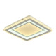 Потолочный светодиодный светильник F-Promo Ledolution 2282-5C