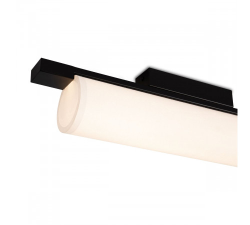 Потолочный светильник Freya Even FR5625CL-L20B