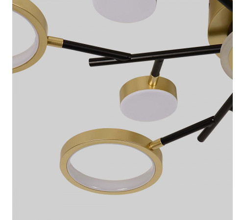 Потолочный светильник F-Promo Hybrid 4686-13C