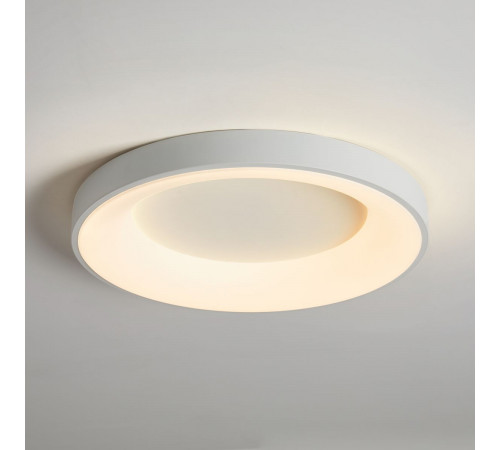 Потолочный светильник Freya Fit FR6157CL-L65W
