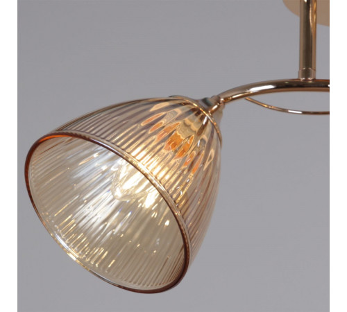 Потолочный светильник Reluce 02560-0.3-02 FG