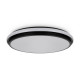 Потолочный светильник Freya Pie FR6086CL-L117B