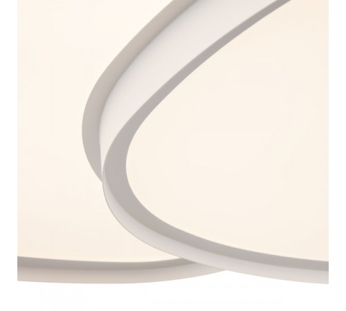 Потолочный светильник Freya Modesty FR6079CL-L72W