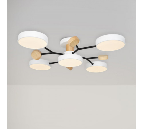 Потолочный светильник Freya Crown FR6119CL-L60W