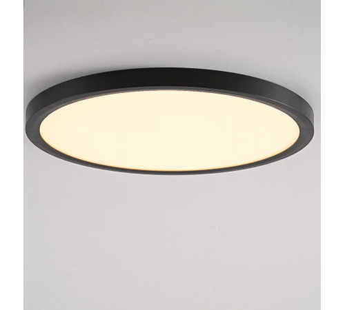 Потолочный светильник ImperiumLoft Slim 178447-26 Потолочный светильник ImperiumLoft Slim 178447-26