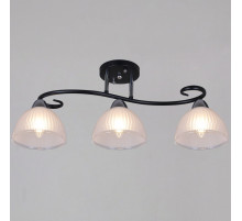 Потолочный светильник Reluce 66360-0.3-03 BK+CR