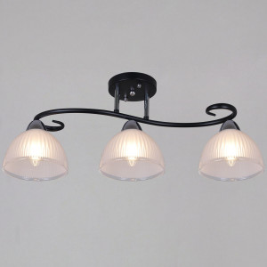 Потолочный светильник Reluce 66360-0.3-03 BK+CR