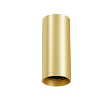 Потолочный светильник Maytoni Technical Focus C010CL-01MG-N