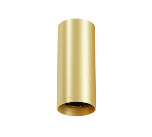 Потолочный светильник Maytoni Technical Focus C010CL-01MG-N