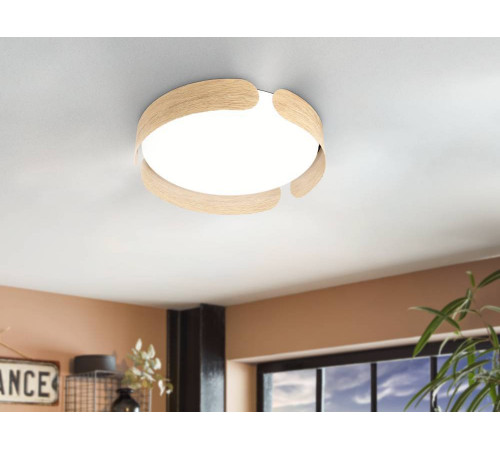 Настенно-потолочный Eglo Valcasotto 901827