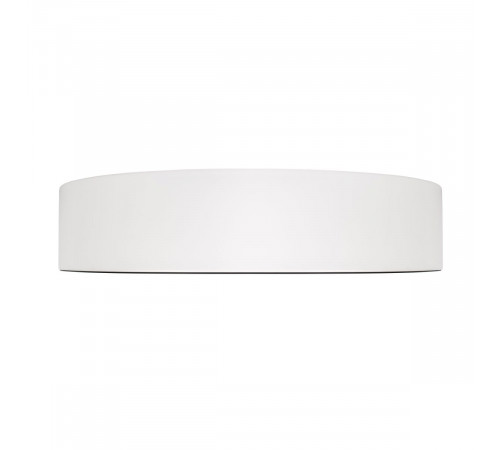 Потолочный светильник Loft IT Coin 10202 WB