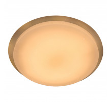 Потолочный светильник General Saturn GSMCL-032-Smart-48-R 800305