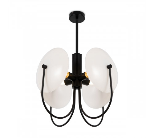 Потолочный светильник Freya Ellipse FR5320PL-04B